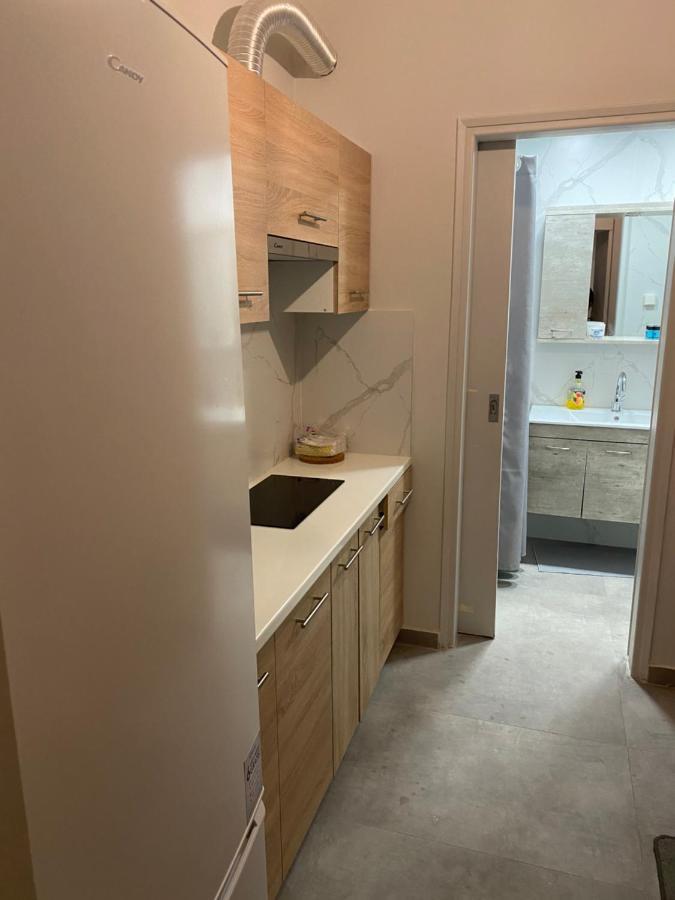 Aris Apartment Athena Bagian luar foto